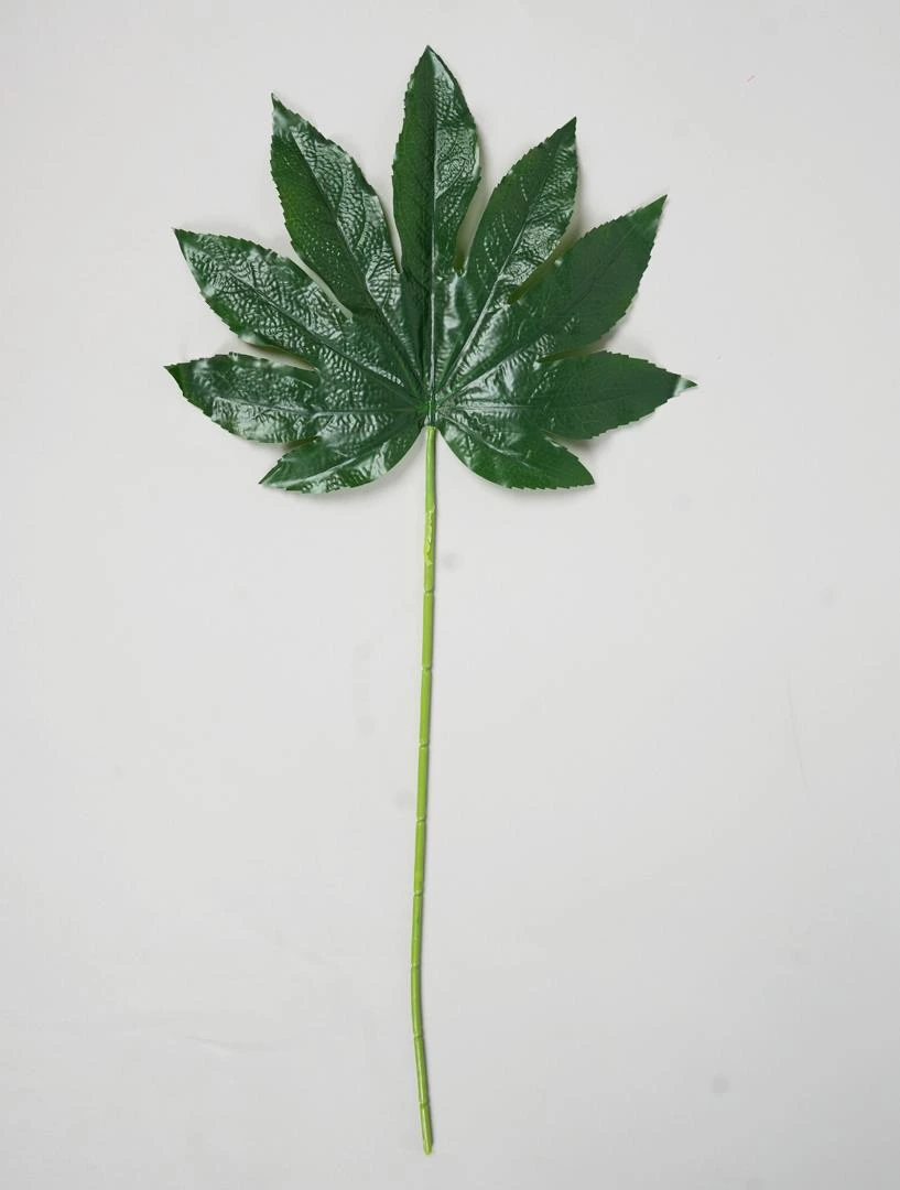 Papaya Leaf stick 67*26*32cm
